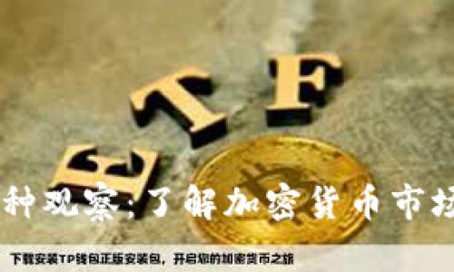 ### TP钱包币种观察：了解加密货币市场动态与投资潜力