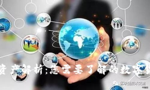 TP钱包里的资产解析：您需要了解的数字货币管理工具
