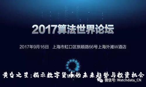 黄昏之星：揭示数字货币的未来趋势与投资机会