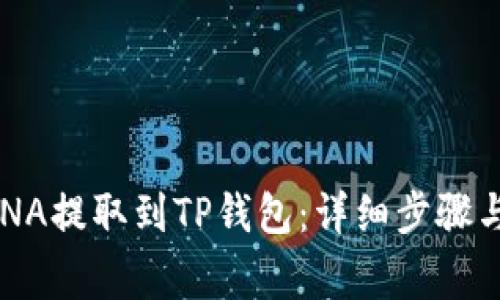 如何将LUNA提取到TP钱包：详细步骤与注意事项