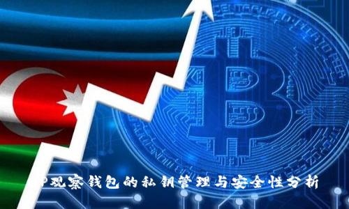 TP观察钱包的私钥管理与安全性分析