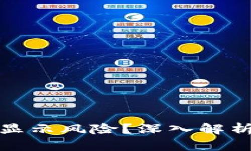 TP钱包为什么总显示风险？深入解析原因与解决方案