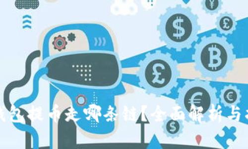 TP钱包提币走哪条链？全面解析与指导