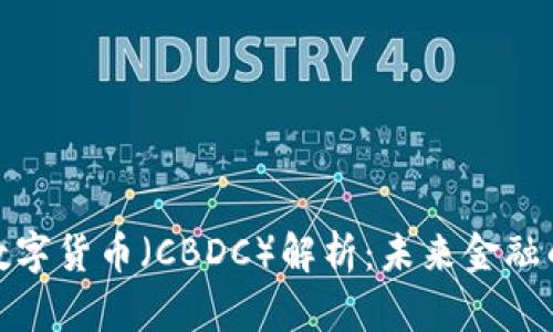 全球央行数字货币（CBDC）解析：未来金融的变革之路