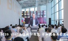 如何将TRC20 USDT充值到TP钱包：详细指南与常见问