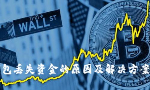 TP钱包丢失资金的原因及解决方案详解