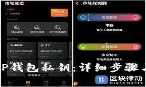 如何导入TP钱包私钥：详细步骤与注意事项