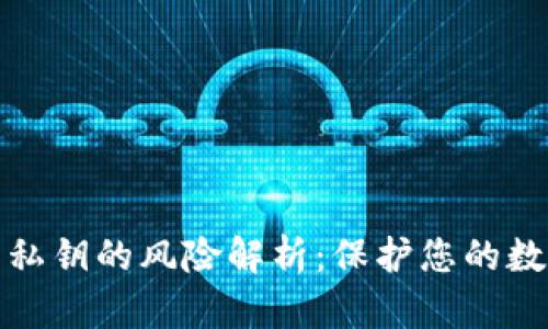 TP钱包导出私钥的风险解析：保护您的数字资产安全