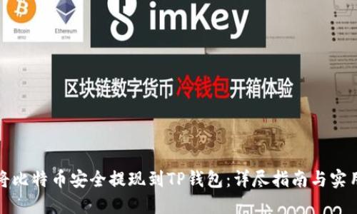 如何将比特币安全提现到TP钱包：详尽指南与实用技巧