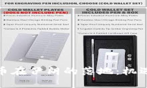 数字货币在伊朗的落地：机遇与挑战