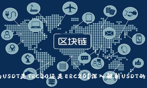 TP钱包的USDT是TRC20还是ERC20？深入解析USDT的多种形式