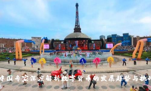 中国专家深度解析数字货币的发展趋势与挑战