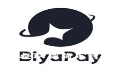 如何在欧易平台上提取狗狗币到TP钱包的详细指南