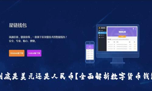 TP钱包资产到底是美元还是人民币？全面解析数字货币钱包的货币性质