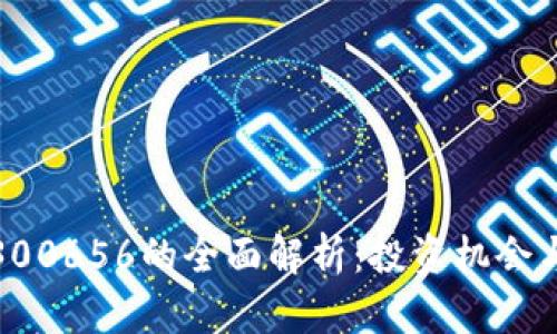 数字货币300656的全面解析：投资机会与风险评估