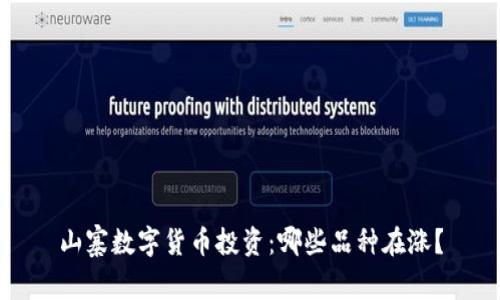 山寨数字货币投资：哪些品种在涨？