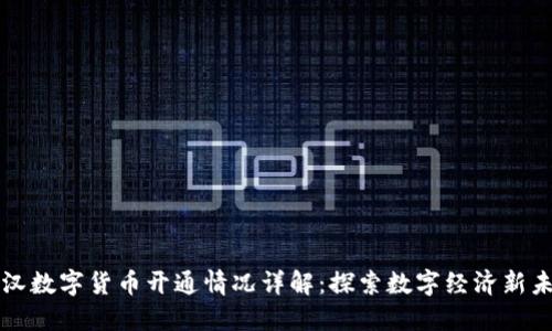 武汉数字货币开通情况详解：探索数字经济新未来