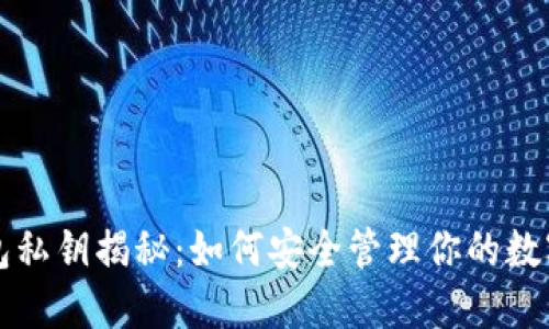 TP钱包私钥揭秘：如何安全管理你的数字资产
