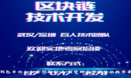 TP钱包里的私钥密码解析：如何管理与保护你的数字资产
