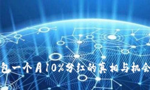 TP钱包一个月10%分红的真相与机会解析