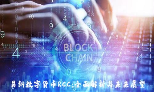   
易纲数字货币RCC：全面解析与未来展望
