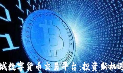 
全面解析长城数字货币交易平台：投资新机遇与风险分析