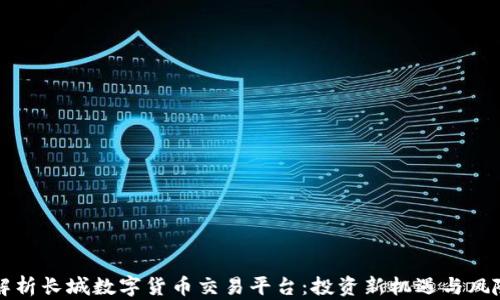 
全面解析长城数字货币交易平台：投资新机遇与风险分析