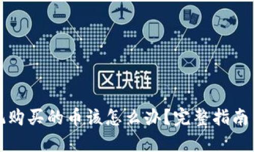 TP钱包忘记购买的币该怎么办？完整指南与解决方案