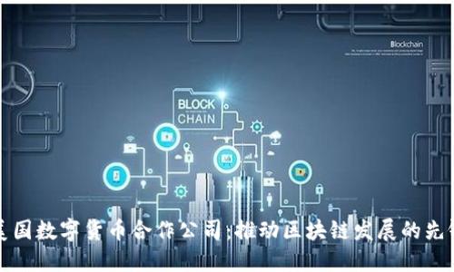 美国数字货币合作公司：推动区块链发展的先锋