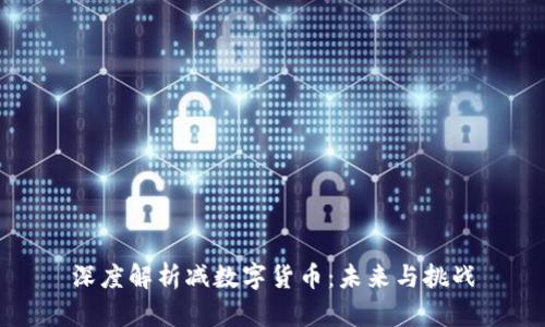 深度解析减数字货币：未来与挑战