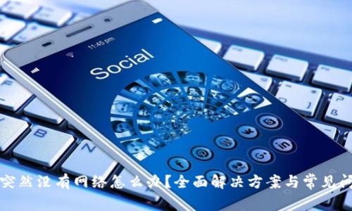 TP钱包突然没有网络怎么办？全面解决方案与常见问题解析