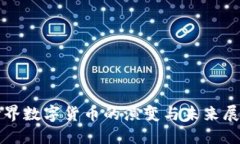 世界数字货币的演变与未来展望