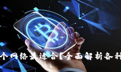 TP钱包使用哪个网络最适合？全面解析各种网络的优缺点