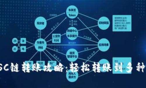 TP钱包BSC链转账攻略：轻松转账到多种链和地址