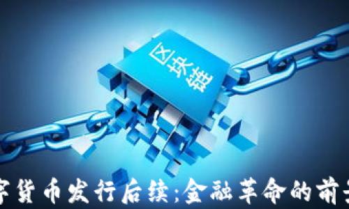 
央行数字货币发行后续：金融革命的前景与挑战