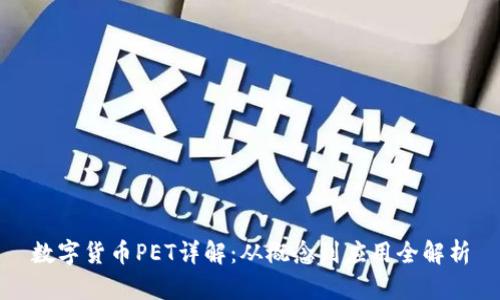 数字货币PET详解：从概念到应用全解析