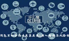 TP钱包里的合约币是真是假？深入解析与风险分析