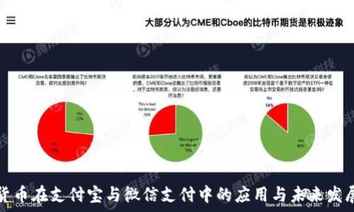   
数字货币在支付宝与微信支付中的应用与未来发展分析
