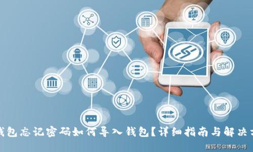 TP钱包忘记密码如何导入钱包？详细指南与解决方案
