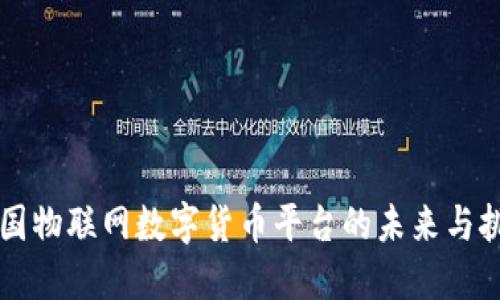 中国物联网数字货币平台的未来与挑战