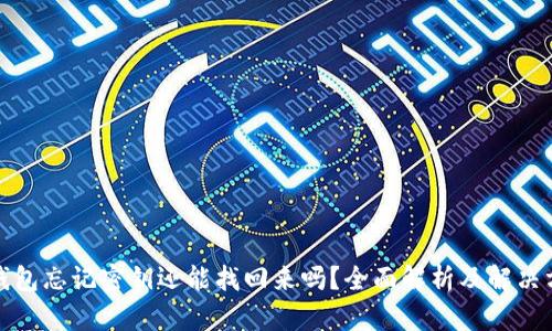 TP钱包忘记密钥还能找回来吗？全面解析及解决方案