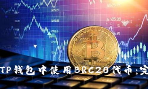 如何在TP钱包中使用BRC20代币：完整指南