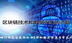 如何找回TP钱包遗失的私钥？详细解决方案与常见