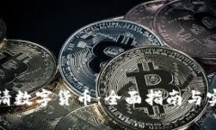 如何申请数字货币：全面指南与实用策略