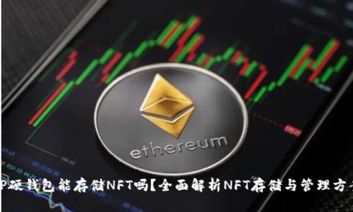 TP硬钱包能存储NFT吗？全面解析NFT存储与管理方案