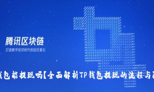 tp钱包能提现吗？全面解析TP钱包提现的流程与限制