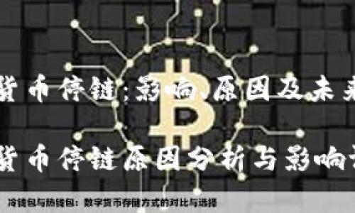 数字货币停链：影响、原因及未来展望

数字货币停链原因分析与影响评估