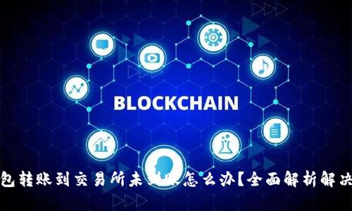 TP钱包转账到交易所未到账怎么办？全面解析解决方案
