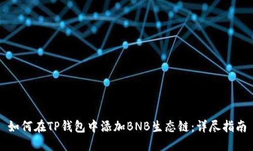 如何在TP钱包中添加BNB生态链：详尽指南
