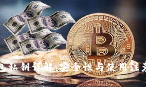 TP钱包私钥详解：安全性与使用注意事项
